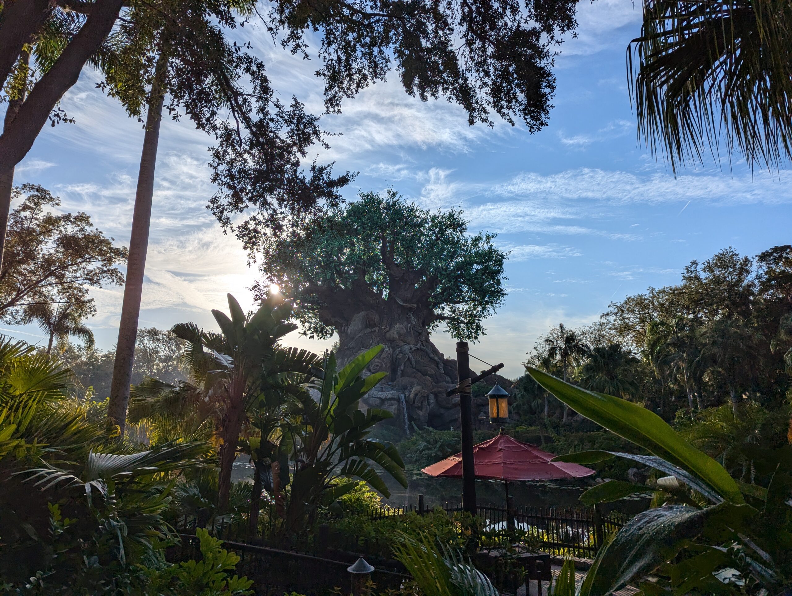 Animal Kingdom Tips